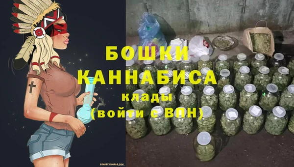 сатива Абаза