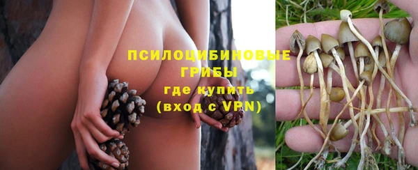 меф Алзамай